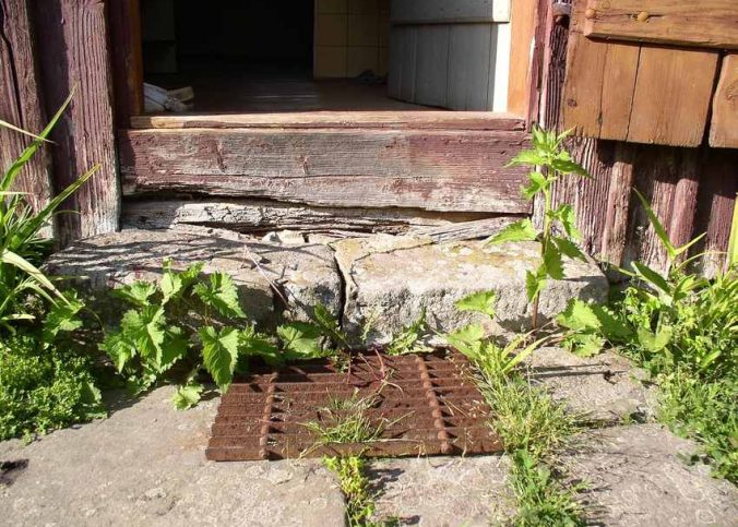 Vue d'une porte de cabane rouvrant sur des marches pierre et végétation