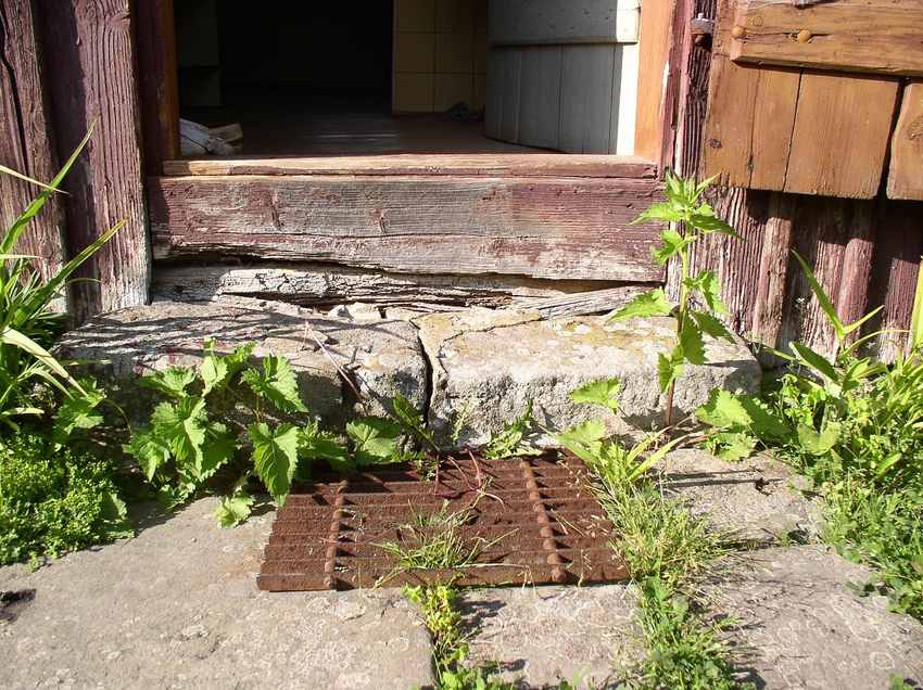 Vue d'une porte de cabane rouvrant sur des marches pierre et végétation